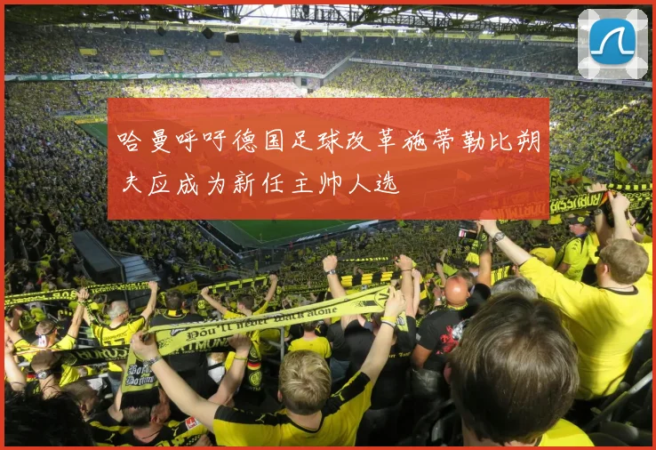 哈曼呼吁德国足球改革施蒂勒比朔夫应成为新任主帅人选